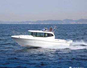 畅销15载,新日本njm28尺小飞桥游艇
