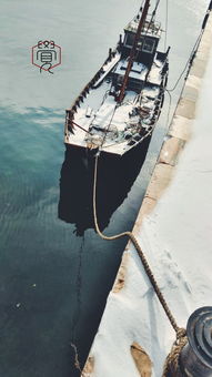 你所不知道的大连之小平岛