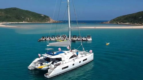 上海有大事发生......