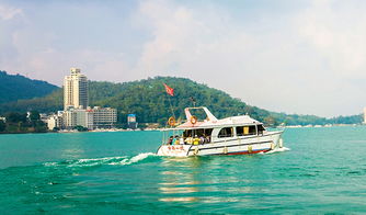 8人以下精品小团 台湾 台北到台中日月潭拼车一日游 苗栗泰安温泉泡汤 日月潭游船 商务小车上门接送