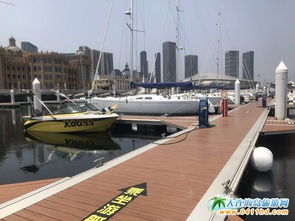 大连帆船游艇出海 豪华游艇租赁 帆船海钓