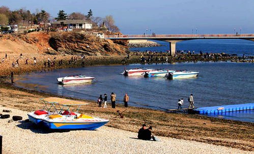 大连星海公园乘快艇环海观光游,过了夏天,依然能 上海