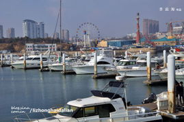 大连星海湾感受奢华的中国游艇文化