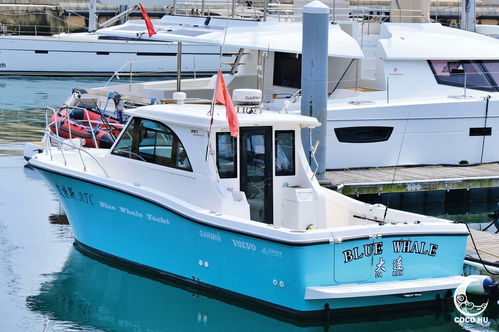 初见翡绿海滩浪漫大连 闺蜜入住首家精品野奢度假酒店