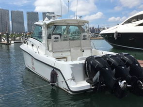 厦门欣翔航运电子与大连游艇达成战略合作，共拓智能航海新篇章