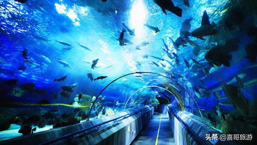 大连自驾游玩全攻略 十大景区与行程安排，游艇体验推荐