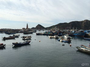 大连一日游 尽享游艇风情之旅