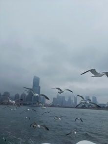 大连一日游 棒槌岛、星海广场与天祥游船的完美体验