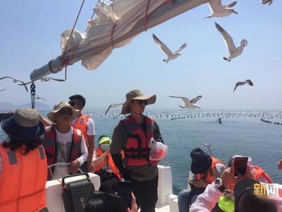 大连游艇之旅 于山海之间，邂逅别样陆海之美